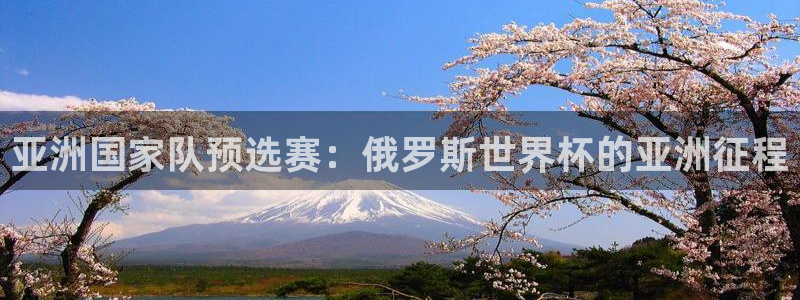 世界杯直播平台：亚洲国家队预选赛：俄罗斯世界杯的亚洲征程