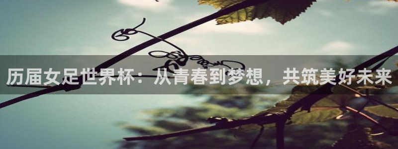 2026世界杯小组赛赛程时间表：历届女足世界杯：从青春到梦想，共筑美好未来