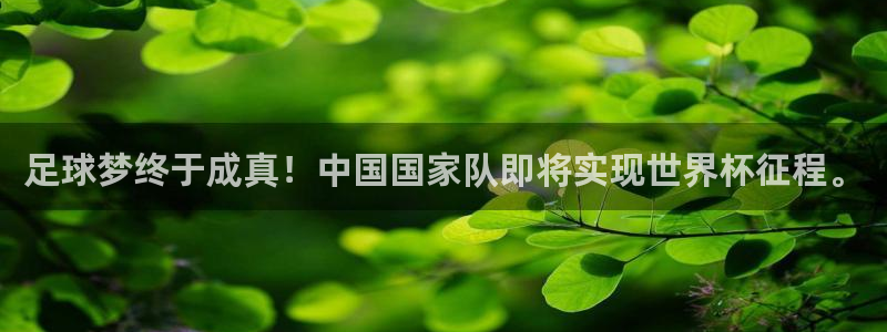 联赛杯直播：足球梦终于成真！中国国家队即将实现世界杯征程。