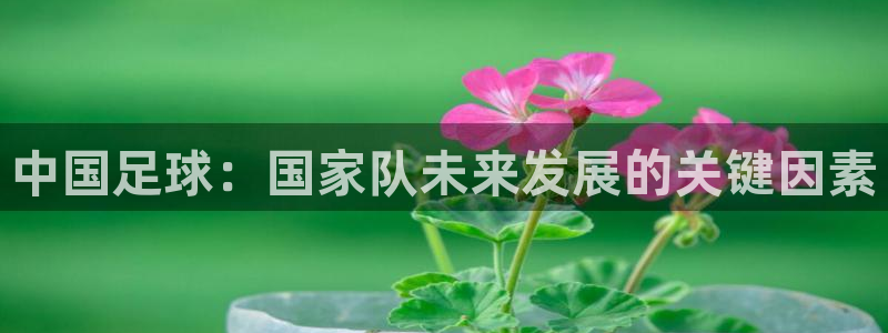 2026世预赛赛程：中国足球：国家队未来发展的关键因素