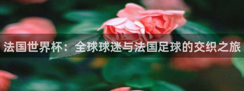 世界杯直播在线观看入口：法国世界杯：全球球迷与法国足球的交织之旅