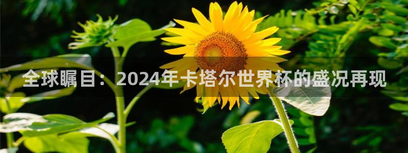 世界杯足球赛2026：全球瞩目：2024年卡塔尔世界杯的盛况再现