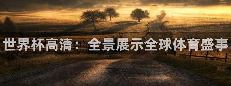 世界杯赛程时间表：世界杯高清：全景展示全球体育盛事