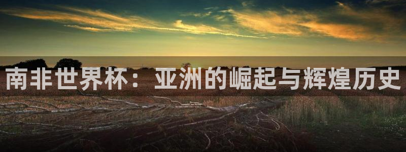 世界杯小组赛赛程：南非世界杯：亚洲的崛起与辉煌历史