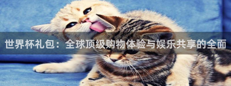 今天所有足球赛程表：世界杯礼包：全球顶级购物体验与娱乐共享的全面