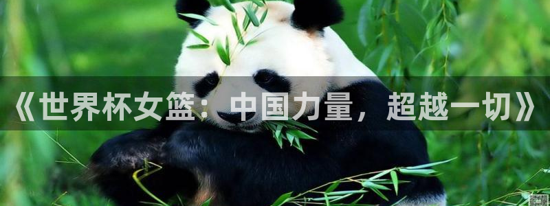 世界杯直播观看：《世界杯女篮：中国力量，超越一切》