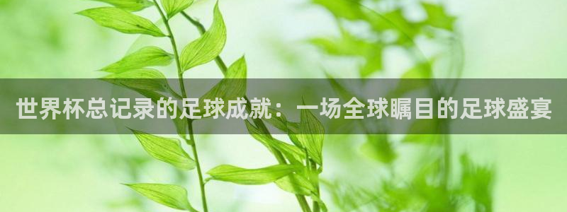 2026世界杯亚洲预选赛赛程：世界杯总记录的足球成就：一场全球瞩目的足球盛宴
