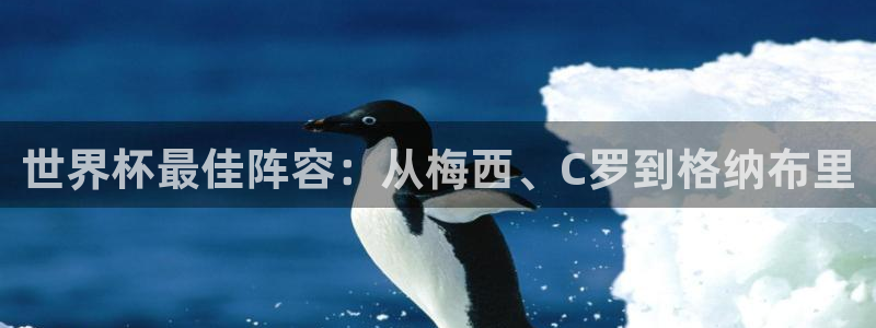 2026世界杯小组赛赛程时间表：世界杯最佳阵容：从梅西、C罗到格纳布里