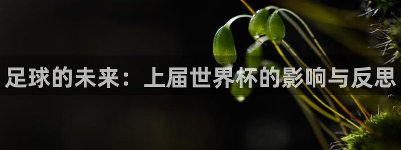 2026足球世界杯：足球的未来：上届世界杯的影响与反思